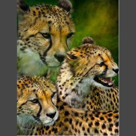 Leopard - 10 Diamond Painting Diamant Malerei-DiamondpaintingX.ch