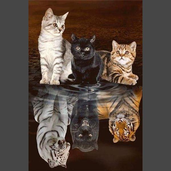 Katze Diamond Painting Diamant Malerei 4SA1-DiamondpaintingX.ch