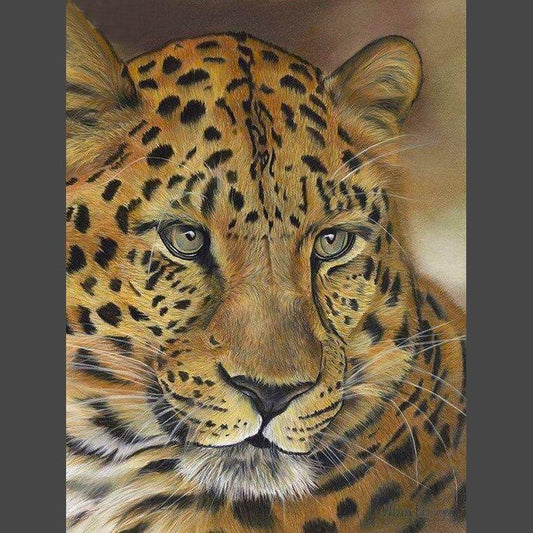 Leopard - 1 Diamond Painting Diamant Malerei-DiamondpaintingX.ch