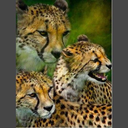 Leopard - 10 Diamond Painting Diamant Malerei-DiamondpaintingX.ch