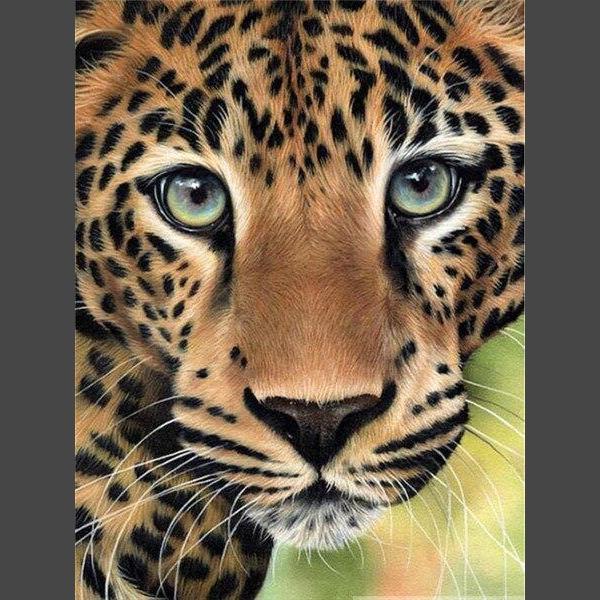 Leopard - 15 Diamond Painting Diamant Malerei-DiamondpaintingX.ch