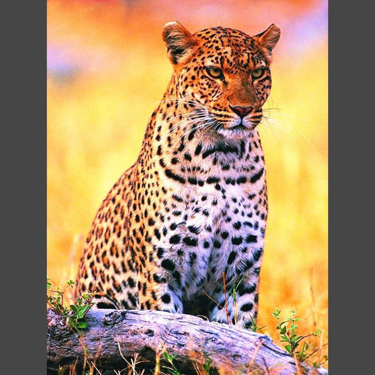 Leopard - 16 Diamond Painting Diamant Malerei-DiamondpaintingX.ch