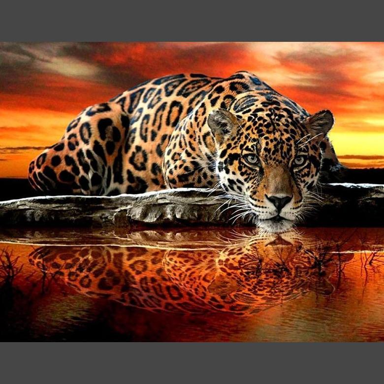 Alle Tiere Diamond Painting