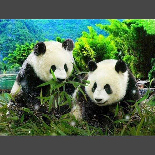 Panda 9 Diamond Painting Diamant Malerei-DiamondpaintingX.ch