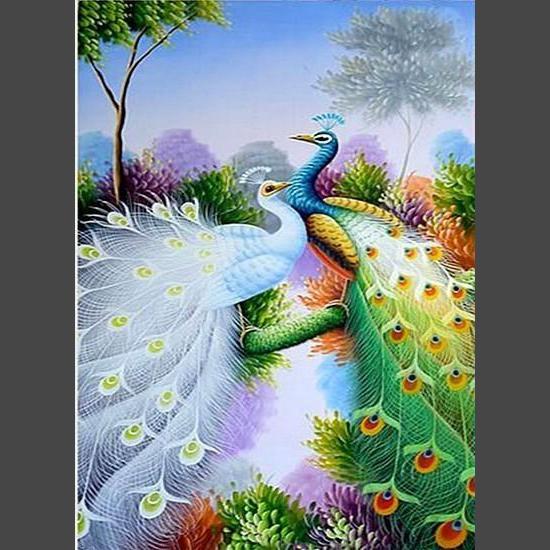 Pfau 011 Diamond Painting Diamant Malerei-DiamondpaintingX.ch