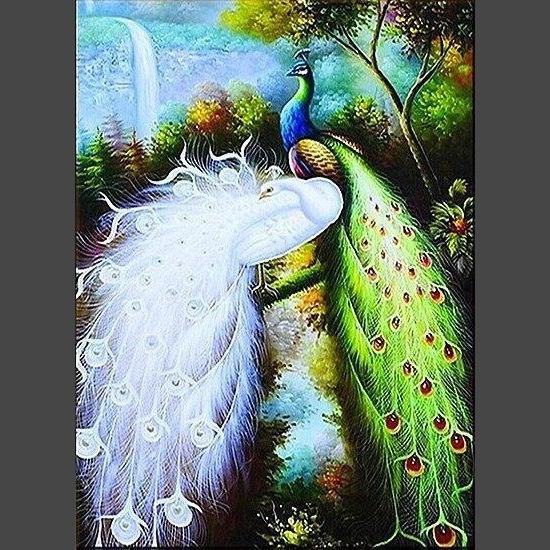 Pfau 014 Diamond Painting Diamant Malerei-DiamondpaintingX.ch