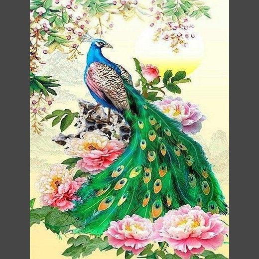 Pfau 018 Diamond Painting Diamant Malerei-DiamondpaintingX.ch