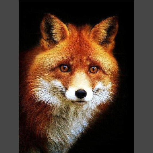 Porträt Fuchs Diamond Painting Diamant Malerei-DiamondpaintingX.ch