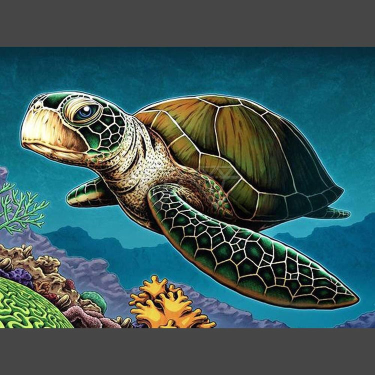 Schildkröten 14 Diamond Painting Diamant Malerei-DiamondpaintingX.ch