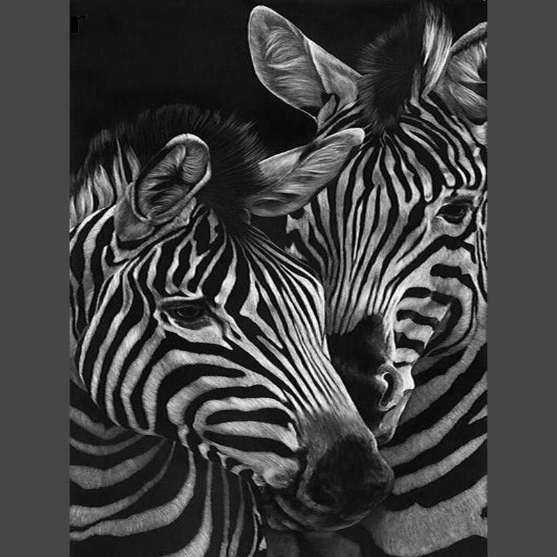 Zebra 1 Diamond Painting Diamant Malerei-DiamondpaintingX.ch