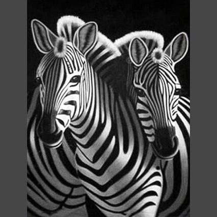 Zebra 12 Diamond Painting Diamant Malerei-DiamondpaintingX.ch