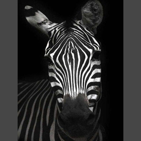 Zebra 7 Diamond Painting Diamant Malerei-DiamondpaintingX.ch