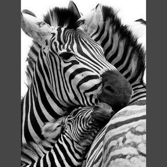 Zebra 8 Diamond Painting Diamant Malerei-DiamondpaintingX.ch